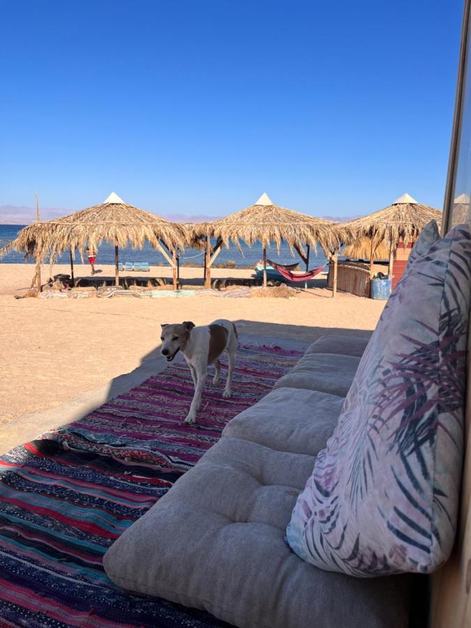 Hotel Abdo Caribbean Camp Nuweiba` Exteriér fotografie